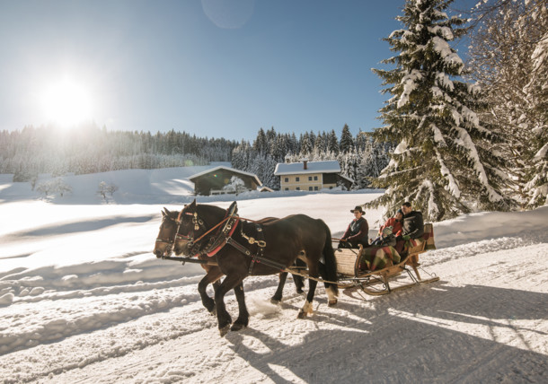     Family on a horse-drawn sleigh 